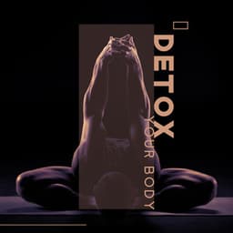 Detox Your Body: Healthy Sleep, Sweet Dreams, Relaxation & Meditation - Sleep New Age Master