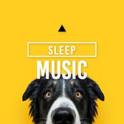Sleep Music - Dog Music