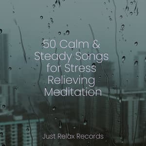 50 Calm & Steady Songs for Stress Relieving Meditation - Meditation Spa