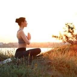 Nature Birds Zen: Riverside Meditation Journey - Swedish Forest Birds