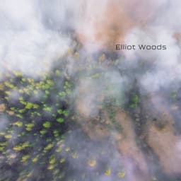 Healing Inhale - Elliot Woods