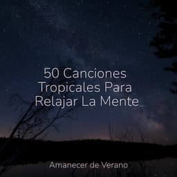 50 Canciones Tropicales Para Relajar La Mente - Piano Suave Relajante