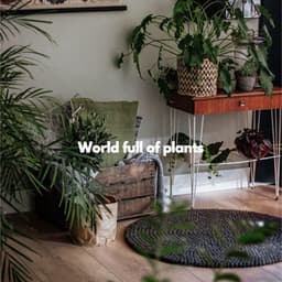 World full of plants - Elevator Music