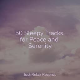 50 Sleepy Tracks for Peace and Serenity - Meditation