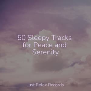 50 Sleepy Tracks for Peace and Serenity - Meditation
