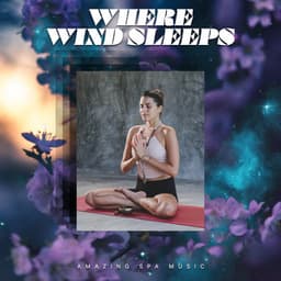 Where Wind Sleeps - Amazing Spa Music
