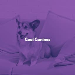 Cool Canines - Restaurant Jazz Classics