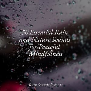 50 Essential Rain and Nature Sounds for Peaceful Mindfulness - Rising Higher Meditation
