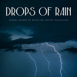 Drops Of Rain: Serene Sounds Of Rains For Instant Relaxation - Recorder Rain