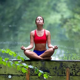 Meditation Oasis: Binaural Rainfall Harmony Haven - Rain Sound Studio