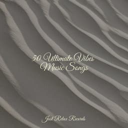 50 Ultimate Vibes Music Songs - Shakuhachi Sakano