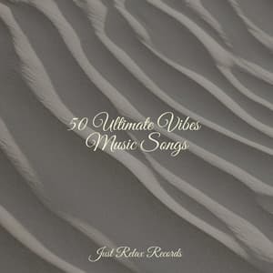 50 Ultimate Vibes Music Songs - Shakuhachi Sakano