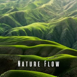 Nature Flow: Uninterrupted Focus with Binaural Beats - Music for Focus and Concentration