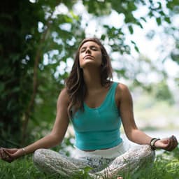 Rainy Reflections: A Meditative Shower of Peace - Refreshing Rain