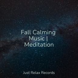 Fall Calming Music | Meditation - Yoga Music