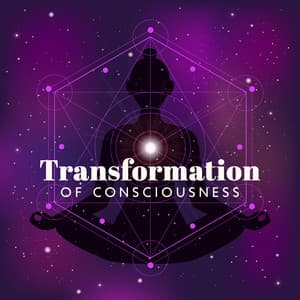 Transformation of Consciousness - Namaste Yoga Collection