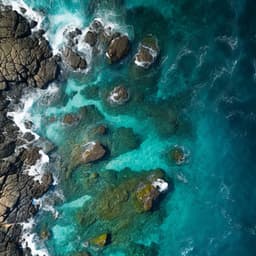 Study with the Ocean: Binaural Sounds for Academic Success - Finding Frequency