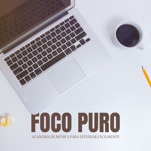 Foco Puro: Música de Trabajo - Academia de Música para Estudiar Fácilmente