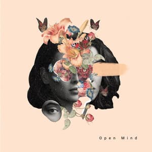 Open Mind - Dave O'Brien