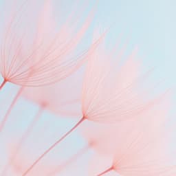 Instant Destress - Craig Peruss