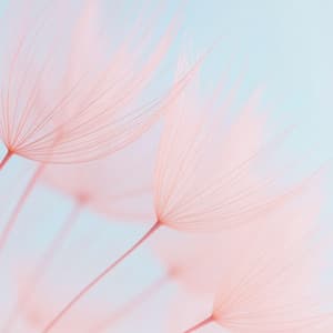 Instant Destress - Craig Peruss