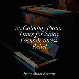50 Calming Piano Tunes for Study Focus & Stress Relief - Ivory Mood