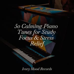 50 Calming Piano Tunes for Study Focus & Stress Relief - Ivory Mood