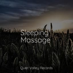 Sleeping Massage - Tibetan Singing Bowls for Relaxation