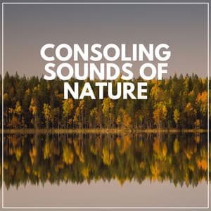 Consoling Sounds of Nature - Mother Nature Sound FX
