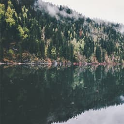 Yoga Guru - Yoga Flow