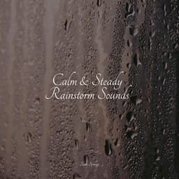 Calm & Steady Rainstorm Sounds - Lluvia PQ