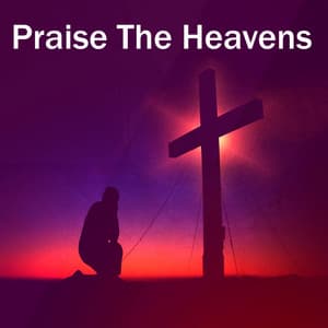 Praise The Heavens - Instrumental Christmas Music Orchestra