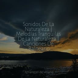Sonidos De La Naturaleza | Melodías Tranquilas De La Naturaleza | Canciones De Balneario - Bedtime Baby