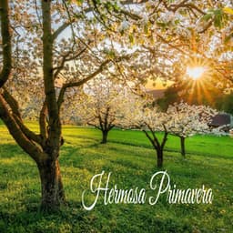 Hermosa Primavera - Serenidad y Armonía