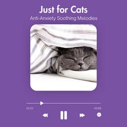 Just for Cats - Anti-Anxiety Soothing Melodies - Relax My Cat