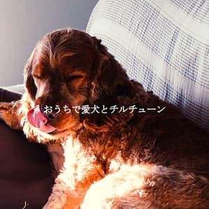 おうちで愛犬とチルチューン - New York City Jazz Club