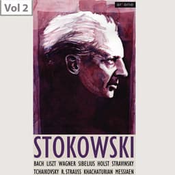 Leopold Stokowski, Vol. 2 - Leopold Stokowski/Symphony Orchestra