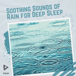 Soothing Sounds of Rain for Deep Sleep - #Sleep