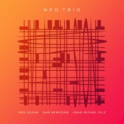 NPO Trio Live At The Stone - Meg Okura