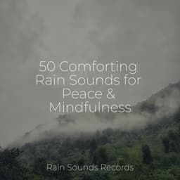 50 Comforting Rain Sounds for Peace & Mindfulness - Ocean Sounds