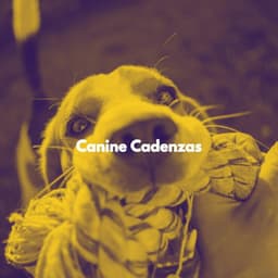 Canine Cadenzas - Cheerful Hotel Lobby Music