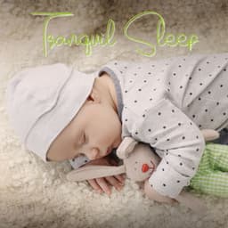 Tranquil Sleep: Peaceful Baby Lullabies - Sleep Baby Music Zone