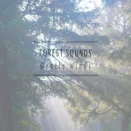 Gentle Winds - Forest Sounds