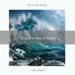 ! ! ! ! ! ! Engulf in Sea of Relax - Ocean Sounds Collection