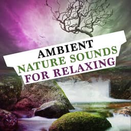 Ambient Nature Sounds for Relaxing - Ambiance nature