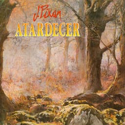 Atardecer - Joaquin Pixan