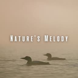 Nature's Melody: Loon Sounds for a Healing Massage ASMR - Next Nature
