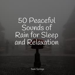 50 Peaceful Sounds of Rain for Sleep and Relaxation - Meditação Clube
