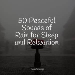50 Peaceful Sounds of Rain for Sleep and Relaxation - Meditação Clube