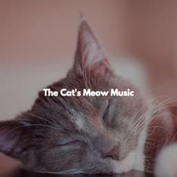 The Cat's Meow Music - Cooking Music Chill